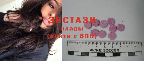 крисы Надым