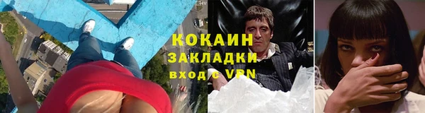 стафф Нефтекумск