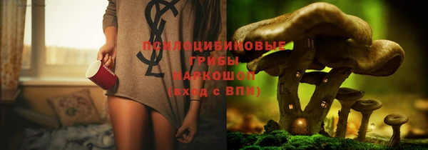 стафф Нефтекумск