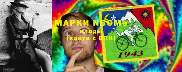 стаф Новодвинск