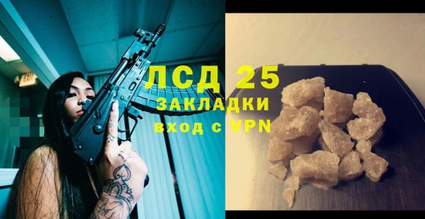 стаф Новодвинск